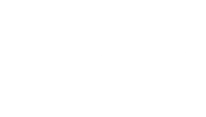 Archaius Logo White
