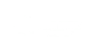 Beyond Barriers Logo White