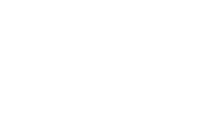 Darksaber Labs Logo  White