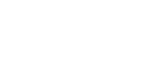 Delta Logo White-1