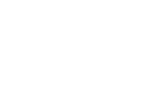 Prohibix Logo White