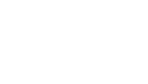Raisi.ai Logo White
