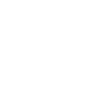Raisi.ai Seed2Table Partner