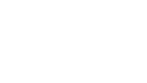 Vasowatch Logo White