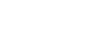 Virnika Logo White